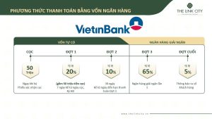 CHÍNH SÁCH THANH TOÁN & BẢO LÃNH TÀI CHÍNH TẠI THE LINK CITY 6